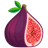 FIG Projects